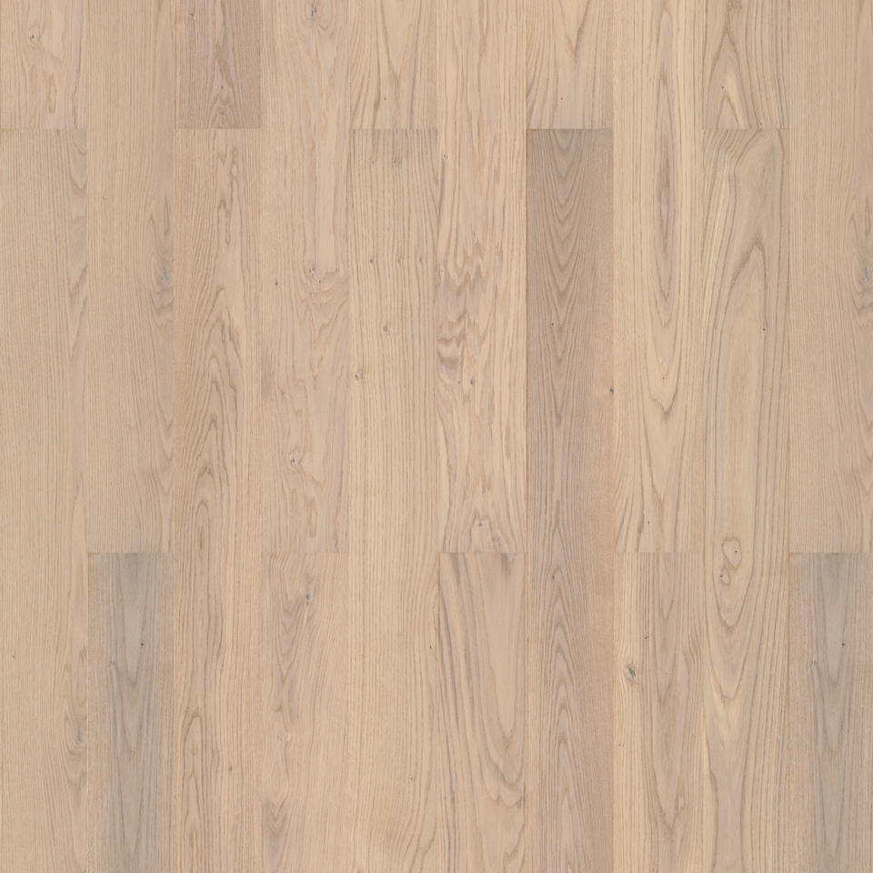 TANGO OAK SCANDINAVIAN,Дуб Скандинавский,выведен в 2018