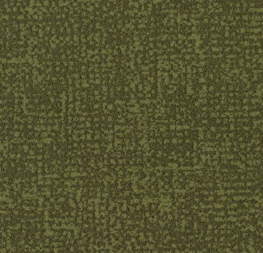 s246021 Metro moss