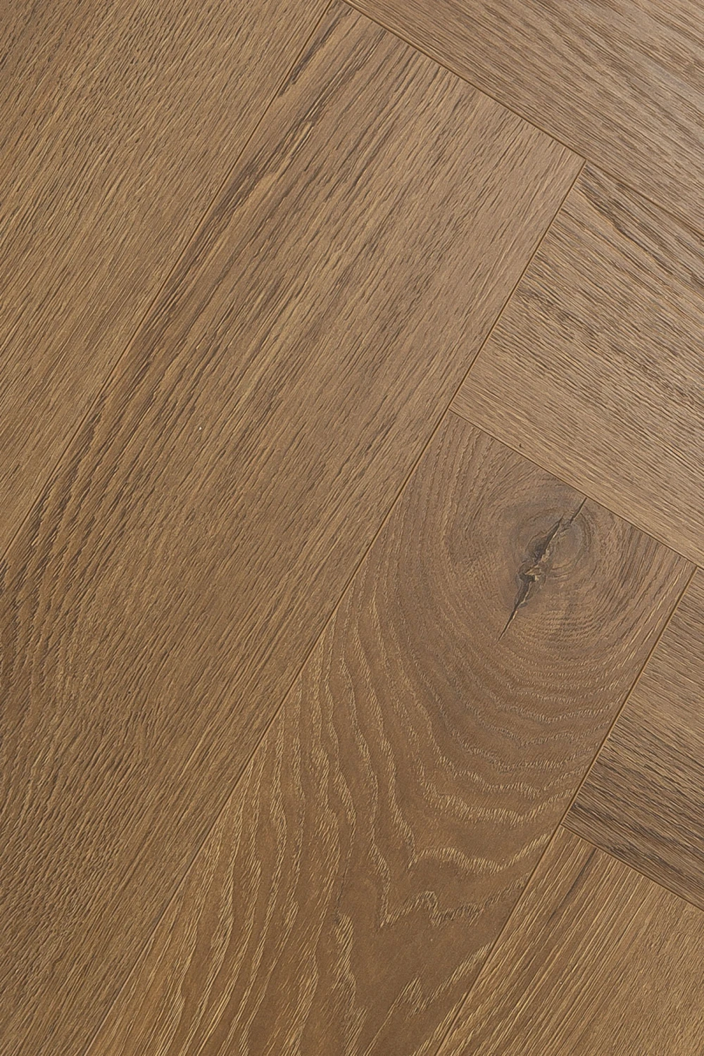 Дуб Серено | Sereno oak 1F343