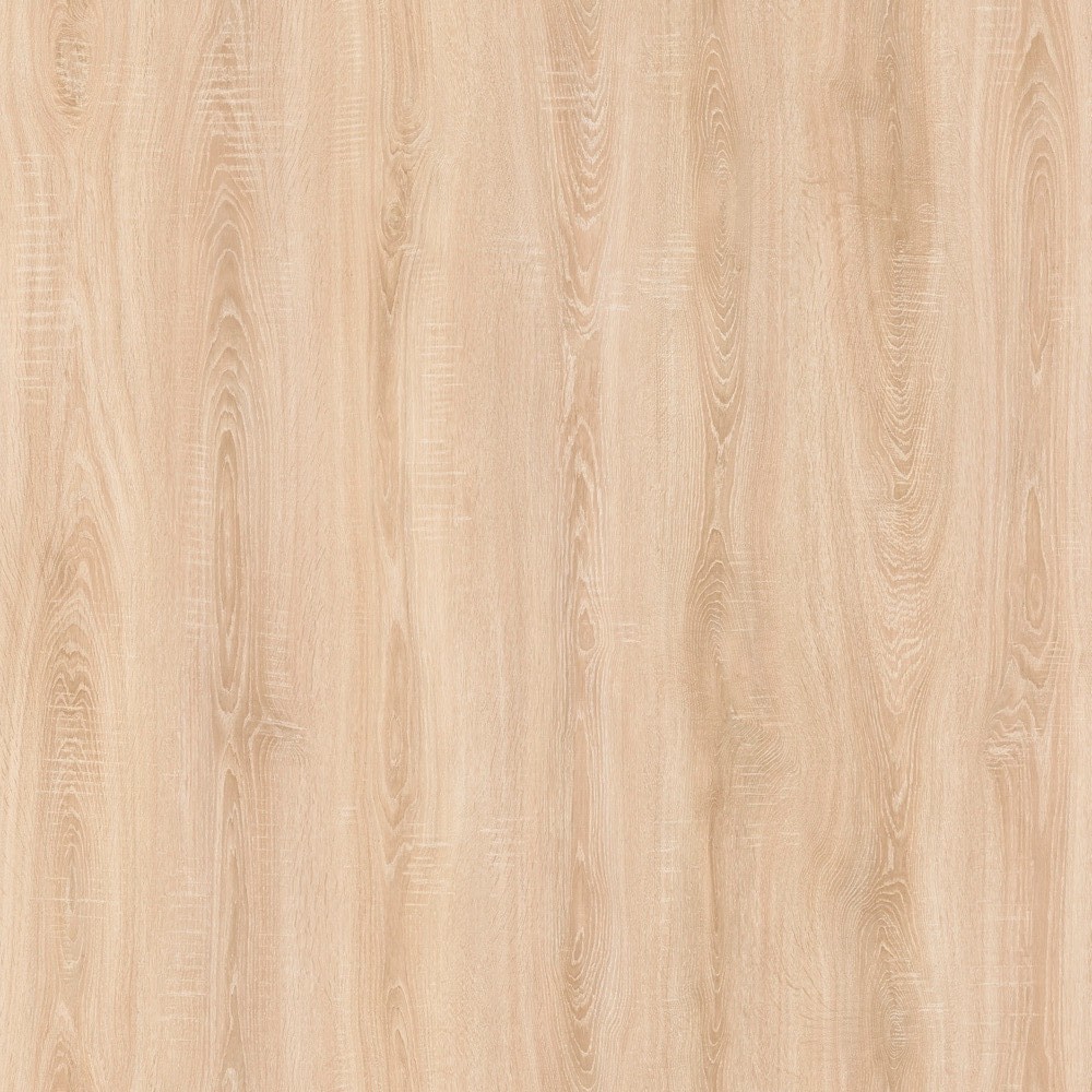Дуб Литакия D59967