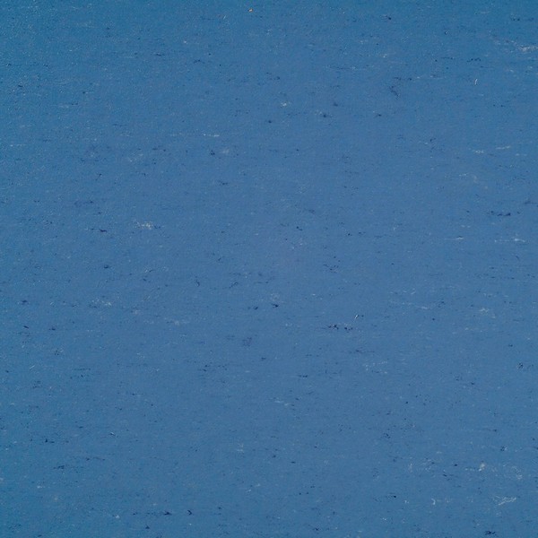 131-004 bluebird
