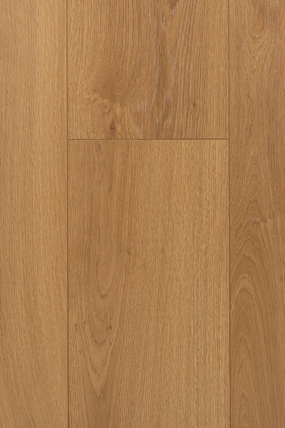 Дуб Кармен | Carmen oak 1F306