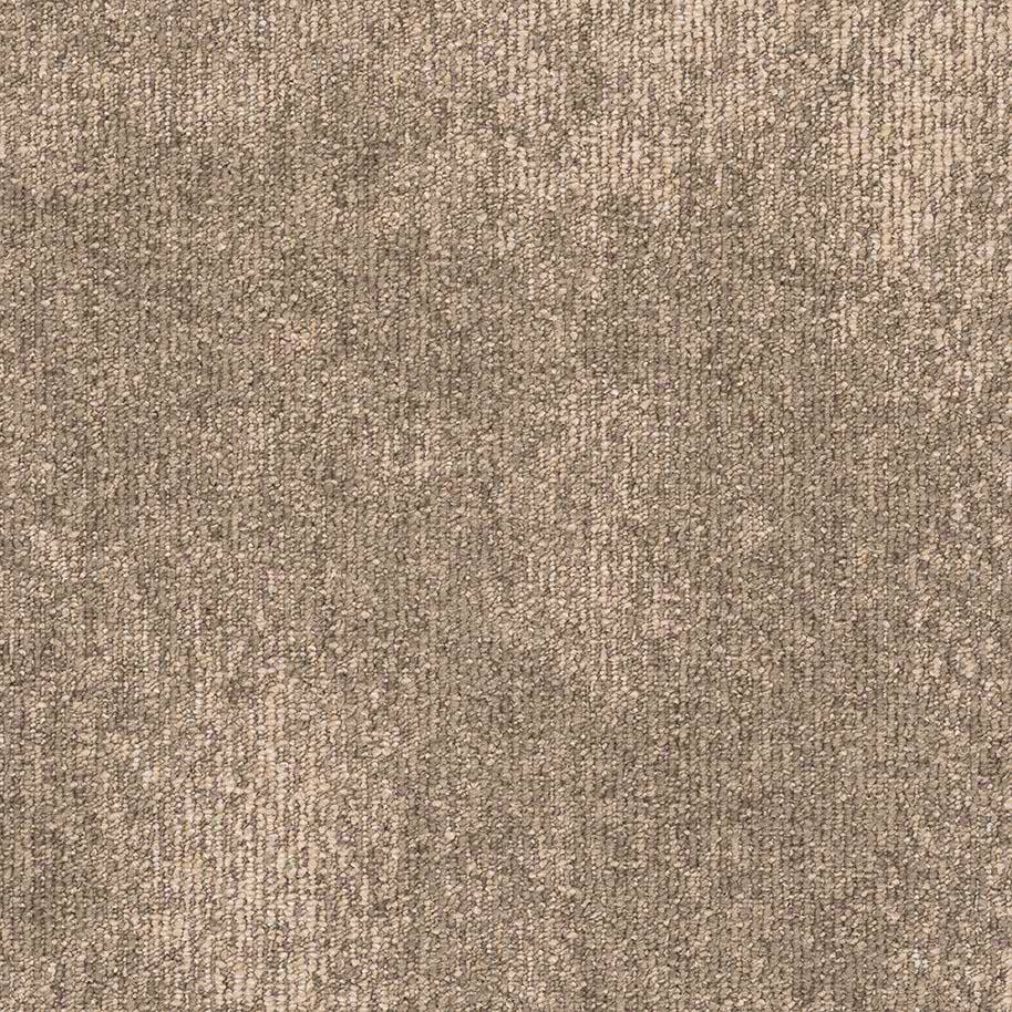 Beige 619326