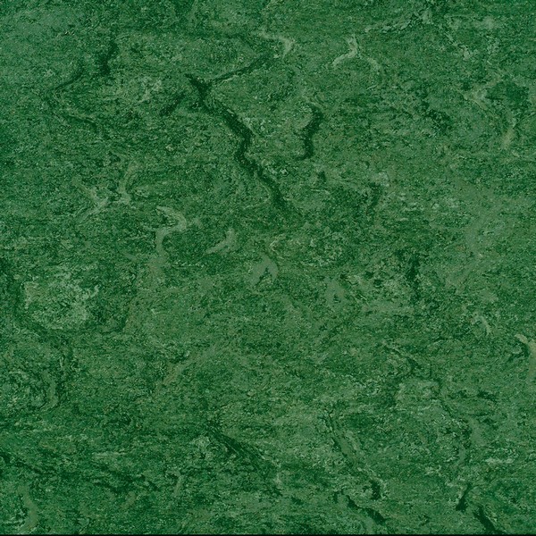 125-041 avocado green