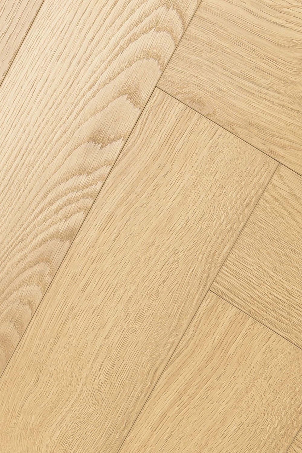 Дуб Церера | Cerera oak 1F436