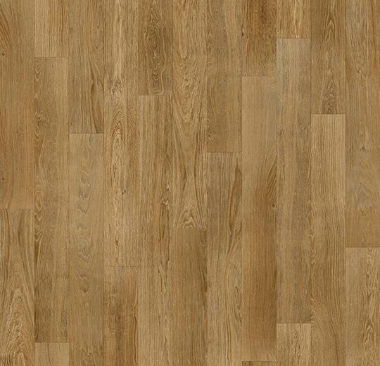 010036 american oak