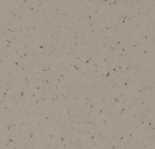 50951 truffle ash