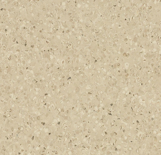 50504 biscuit