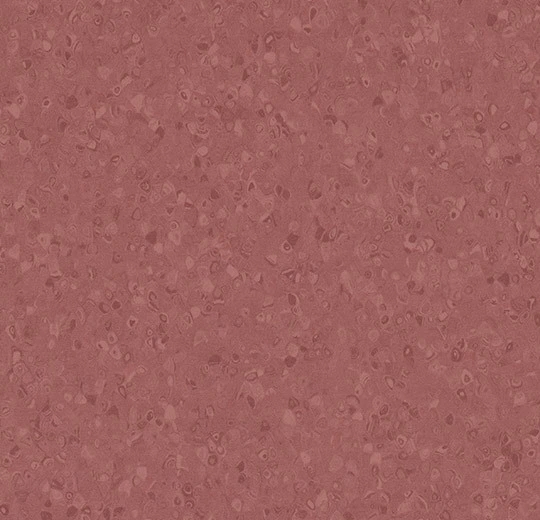 50083 raspberry