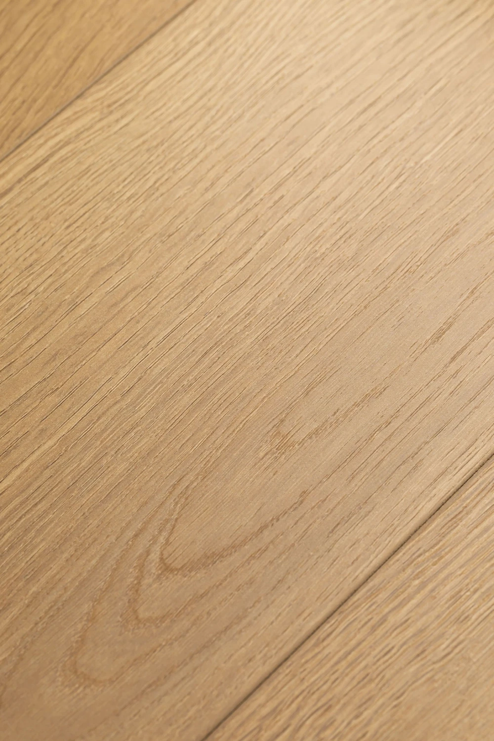 Дуб Жаккард | Jaccard oak 1F418