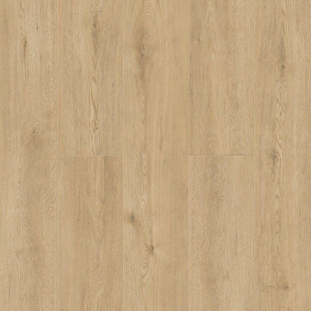 Dor 1001-3