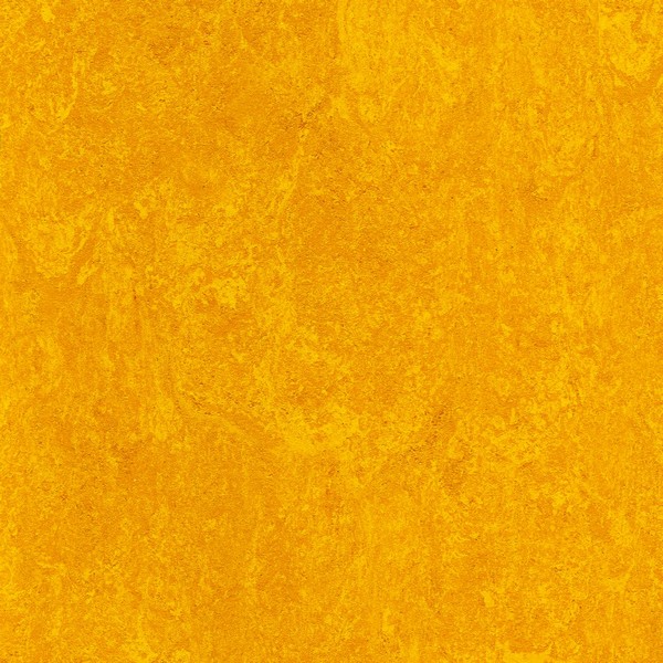 121-172 papaya orange