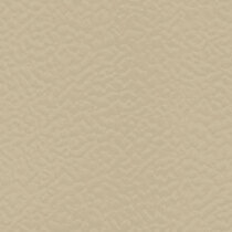 634 Beige