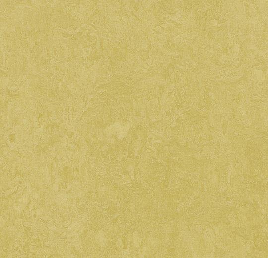 325935 mustard