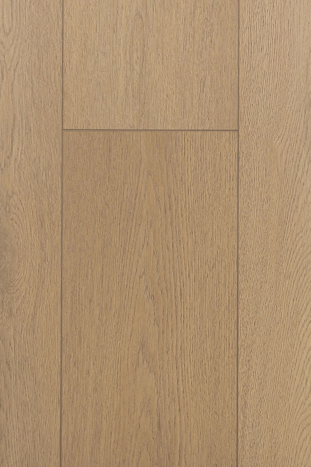 Дуб Ютика | Utica oak 1F428