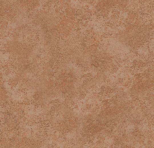 s290013 Calgary caramel