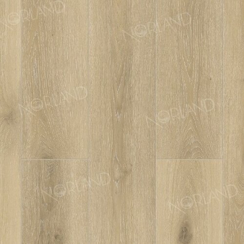 Solem 1022-10