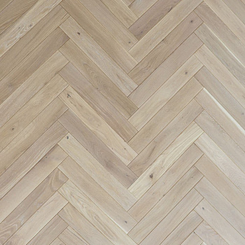 OAK ARCTIC HB