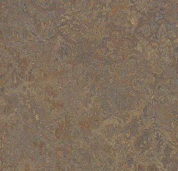 342635 cork tree