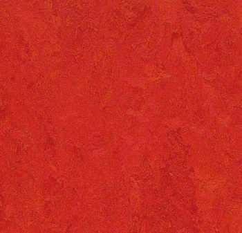 313135 scarlet