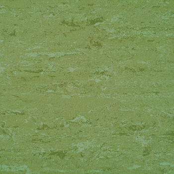 0011 Avocado Green
