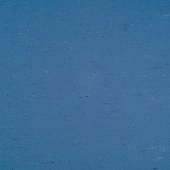 131-004 bluebird