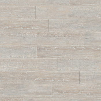 0593 Salsa