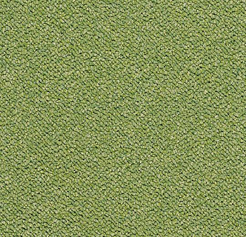 3617 botanical