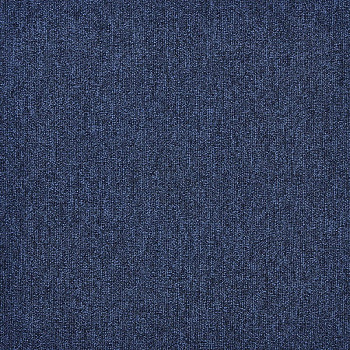 504