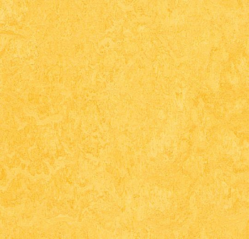 325135 lemon zest