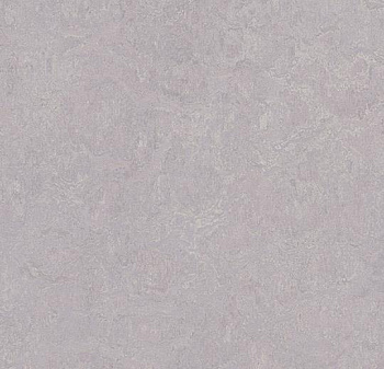 326635 lilac