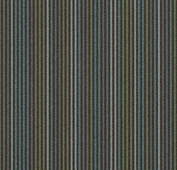 t550003/t553003 Complexity charcoal